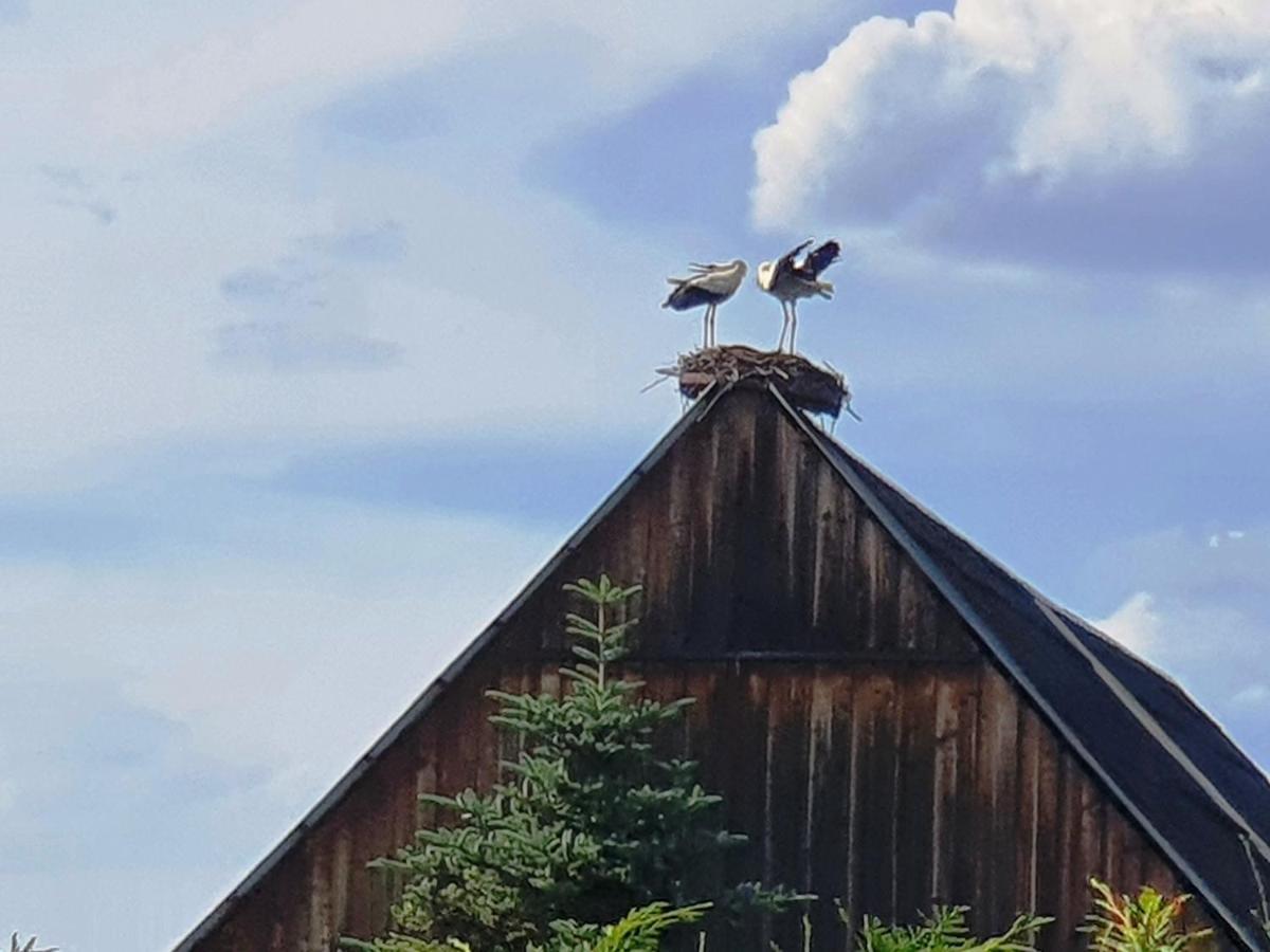 Ferienwohnung Sonnendeck Spreewald Lübbenau Esterno foto