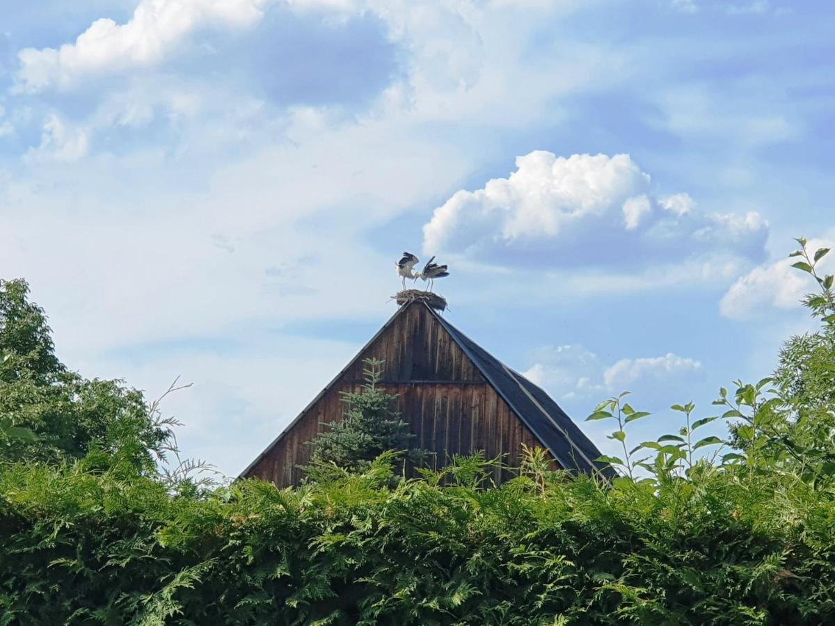 Ferienwohnung Sonnendeck Spreewald Lübbenau Esterno foto
